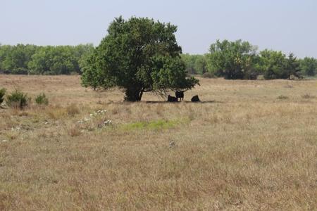 Marion County, Kansas Land For Sale - image 46