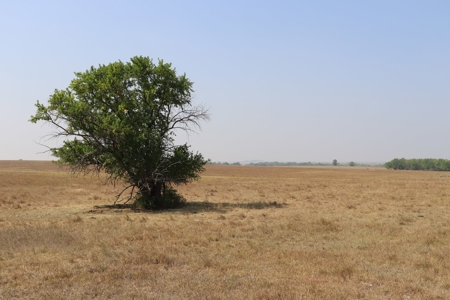 Marion County, Kansas Land For Sale - image 34