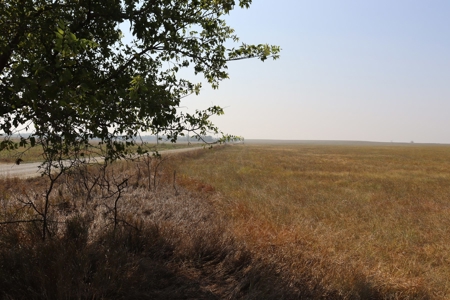 Marion County, Kansas Land For Sale - image 4