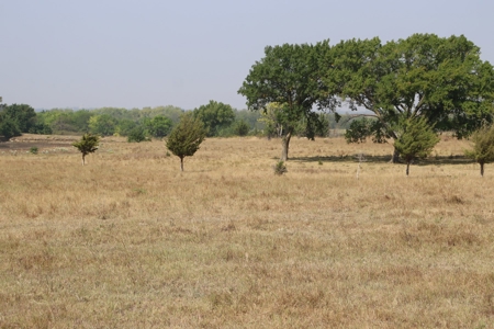 Marion County, Kansas Land For Sale - image 32