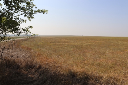Marion County, Kansas Land For Sale - image 5