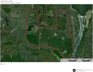 668 Acre Turnkey Hunting Property Sleeps 22 in West AL - image 48