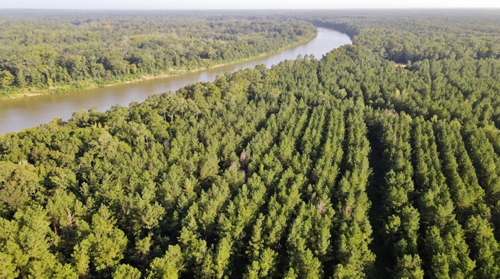 668 Acre Turnkey Hunting Property Sleeps 22 in West AL