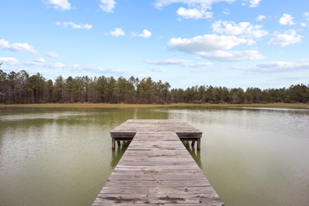 668 Acre Turnkey Hunting Property Sleeps 22 in West AL - image 29