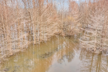 668 Acre Turnkey Hunting Property Sleeps 22 in West AL - image 37