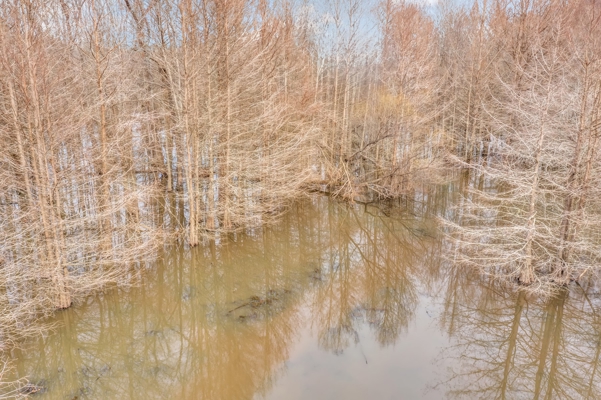 668 Acre Turnkey Hunting Property Sleeps 22 in West AL