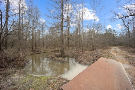 668 Acre Turnkey Hunting Property Sleeps 22 in West AL - image 46