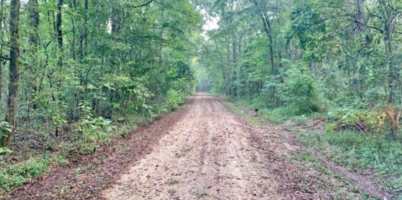668 Acre Turnkey Hunting Property Sleeps 22 in West AL