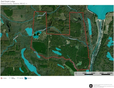 668 Acre Turnkey Hunting Property Sleeps 22 in West AL - image 49