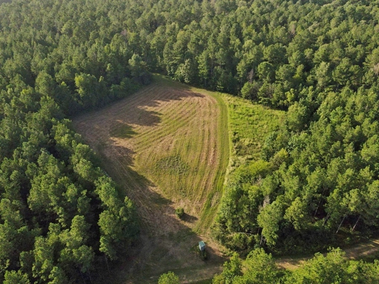 668 Acre Turnkey Hunting Property Sleeps 22 in West AL