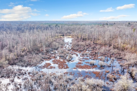 668 Acre Turnkey Hunting Property Sleeps 22 in West AL - image 41
