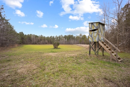 668 Acre Turnkey Hunting Property Sleeps 22 in West AL - image 30