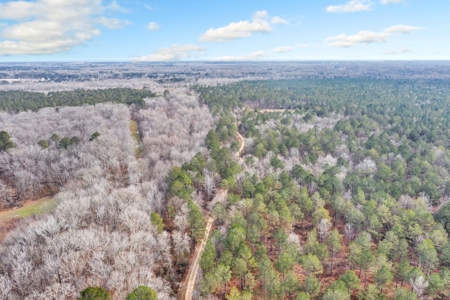 668 Acre Turnkey Hunting Property Sleeps 22 in West AL - image 44