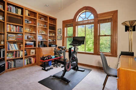 Luxury Mountain Home For Sale In Ouray, Colorado - image 19