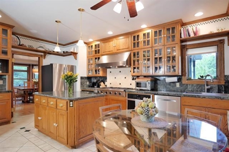 Luxury Mountain Home For Sale In Ouray, Colorado - image 15