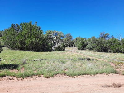 Secluded 3.9 Acre Off Grid Property In Northern Az - image 4