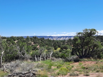 Secluded 3.9 Acre Off Grid Property In Northern Az - image 5