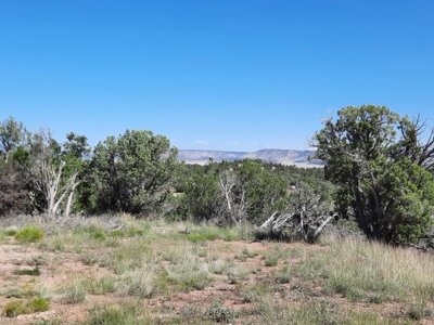 Secluded 3.9 Acre Off Grid Property In Northern Az - image 9
