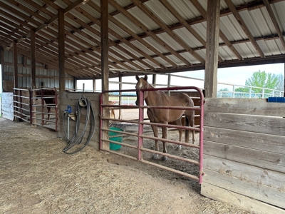 Ranch for Sale Southeast Oklahoma- McAlester -Oklahoma - image 15