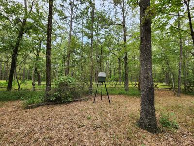 Cedar Lake Cabin & 5th Wheel RV – Ouachita National Forest - image 19