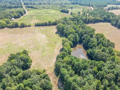 Land for sale, Cass County Texas - image 7