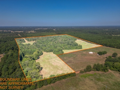 Land for sale, Cass County Texas - image 2