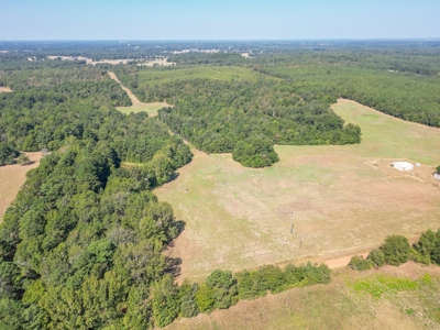 Land for sale, Cass County Texas - image 6