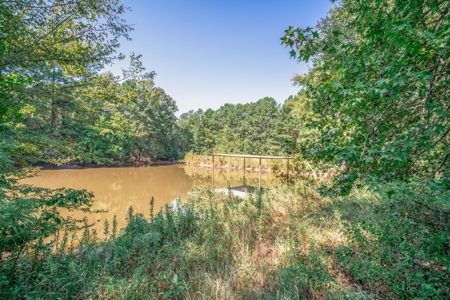 Land for sale, Cass County Texas - image 8