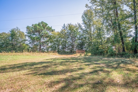 Land for sale, Cass County Texas - image 9