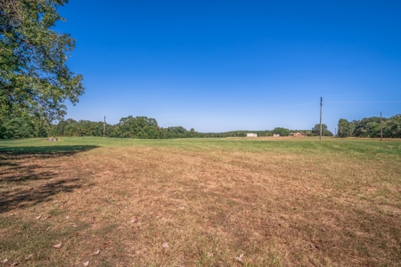 Land for sale, Cass County Texas - image 4