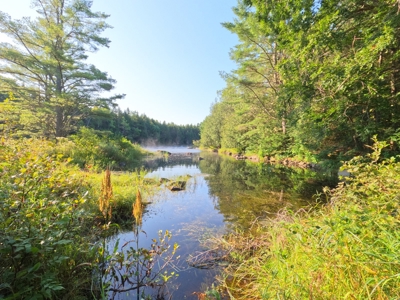 Historic Riverfront Cabin - image 22