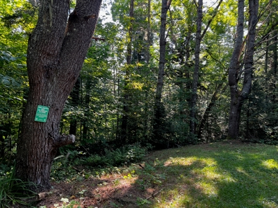 Historic Riverfront Cabin - image 29