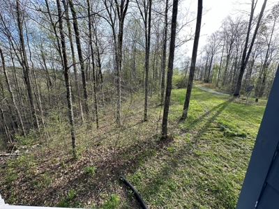Accepted Offer near Dale Hollow Lake - image 31