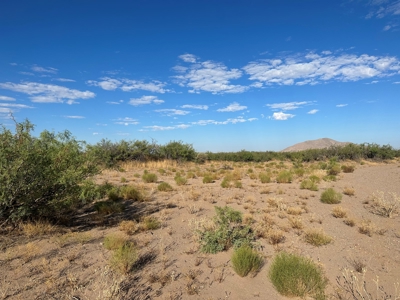 Land for Sale in Deming NM - image 1
