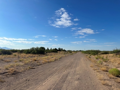 Land for Sale in Deming NM - image 4