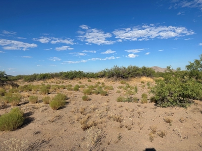 Land for Sale in Deming NM - image 3