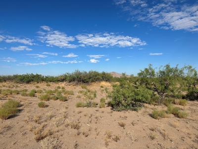 Land for Sale in Deming NM - image 2