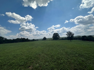 18 +/- Acres Vacant Land for Sale in Fulton County Arkansas - image 5