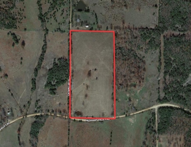 18 +/- Acres Vacant Land for Sale in Fulton County Arkansas - image 12