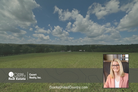 18 +/- Acres Vacant Land for Sale in Fulton County Arkansas - image 1