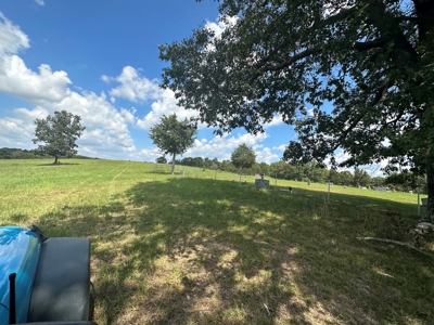 18 +/- Acres Vacant Land for Sale in Fulton County Arkansas - image 3