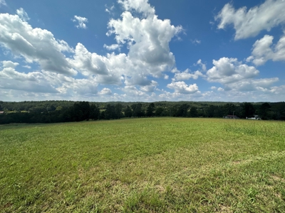 18 +/- Acres Vacant Land for Sale in Fulton County Arkansas - image 7