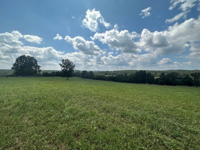 18 +/- Acres Vacant Land for Sale in Fulton County Arkansas - image 6