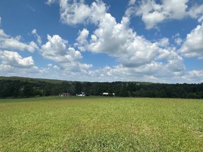 18 +/- Acres Vacant Land for Sale in Fulton County Arkansas - image 10