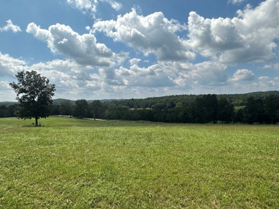 18 +/- Acres Vacant Land for Sale in Fulton County Arkansas - image 9
