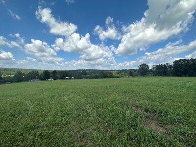 18 +/- Acres Vacant Land for Sale in Fulton County Arkansas - image 4