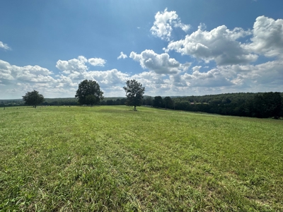 18 +/- Acres Vacant Land for Sale in Fulton County Arkansas - image 8