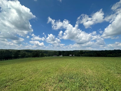18 +/- Acres Vacant Land for Sale in Fulton County Arkansas - image 11