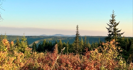 Land for Sale in Clearwater County, Idaho - image 4