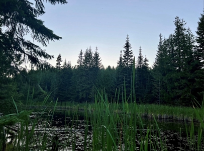 Land for Sale in Clearwater County, Idaho - image 13